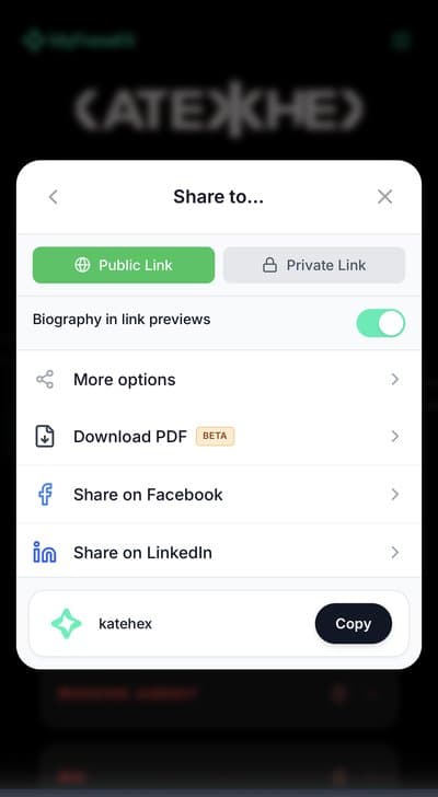 Sharing a press kit with a public or private link
